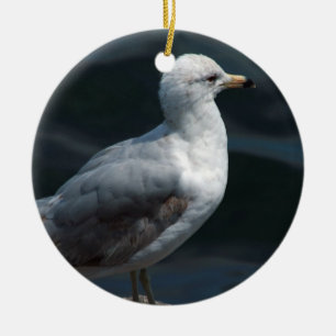 De Cerâmica Ornamento da gaivota