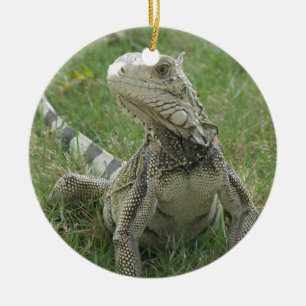 De Cerâmica Ornamento da iguana