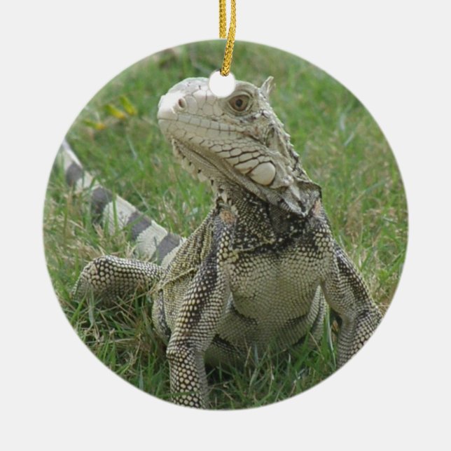 De Cerâmica Ornamento da iguana (Frente)