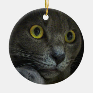 De Cerâmica Ornamento da intensidade