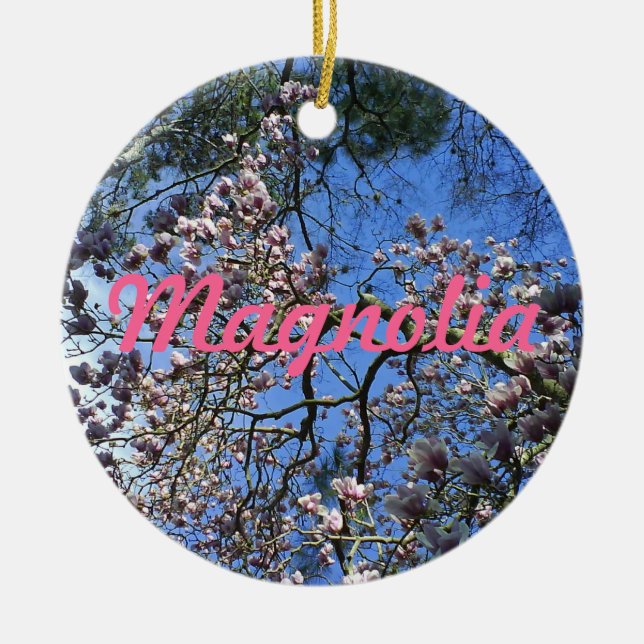 De Cerâmica Ornamento da magnólia (Frente)