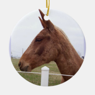 De Cerâmica Ornamento da maré da mula