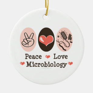 De Cerâmica Ornamento da microbiologia do amor da paz