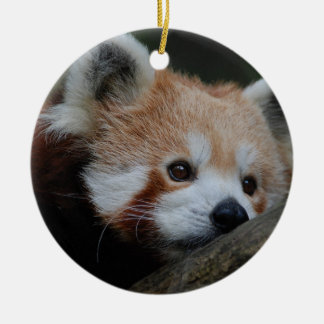 De Cerâmica Ornamento da panda vermelha