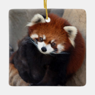 De Cerâmica Ornamento da panda vermelha