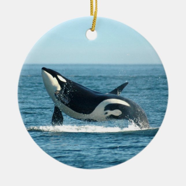 De Cerâmica Ornamento da ruptura da orca (Frente)