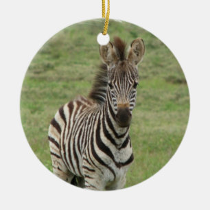 De Cerâmica Ornamento da zebra do bebê
