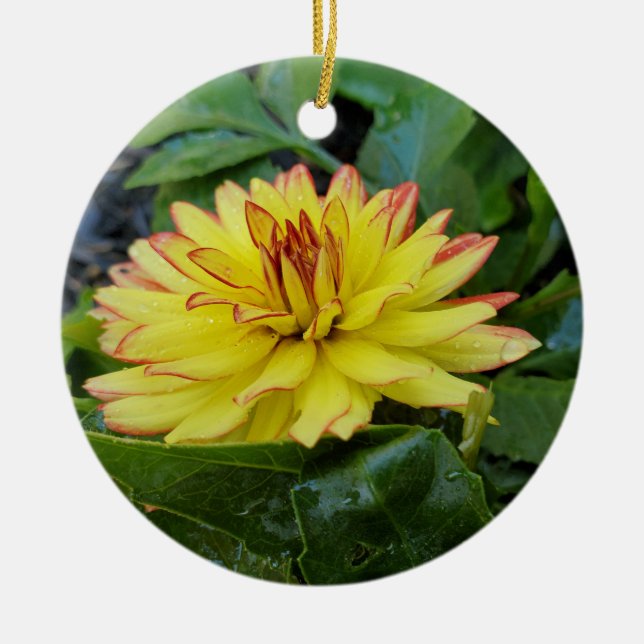 De Cerâmica ornamento Dahlia (Frente)