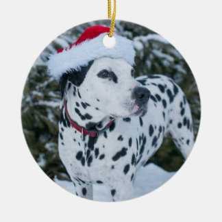 De Cerâmica Ornamento Dalmatian do papai noel