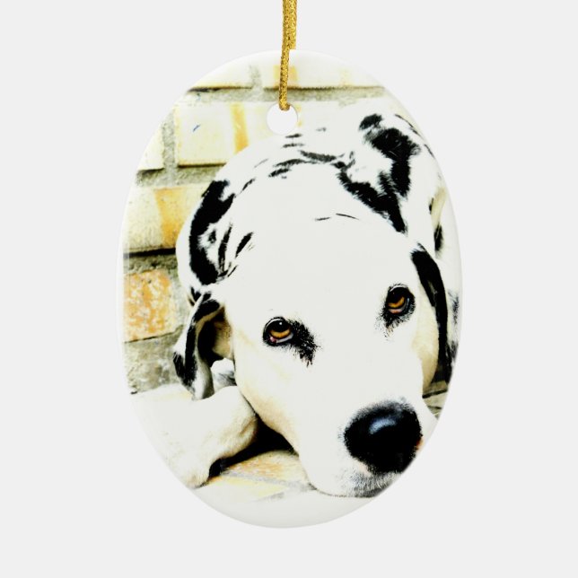 De Cerâmica Ornamento Dalmatian do sono (Frente)