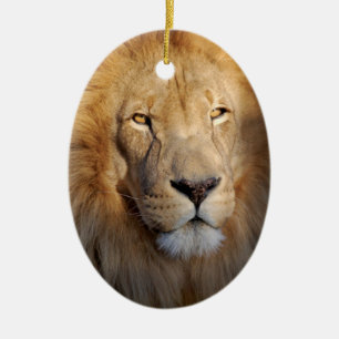 De Cerâmica Ornamento das imagens do leão