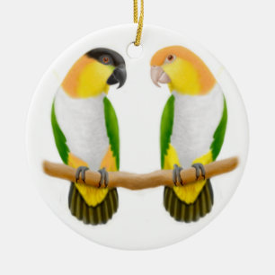 De Cerâmica Ornamento do amor do papagaio do Caique