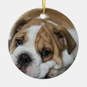 De Cerâmica Ornamento do buldogue do sono