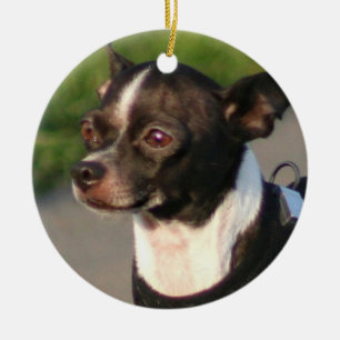 De Cerâmica Ornamento do cão da chihuahua