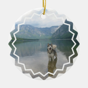 De Cerâmica Ornamento do cão do Malamute