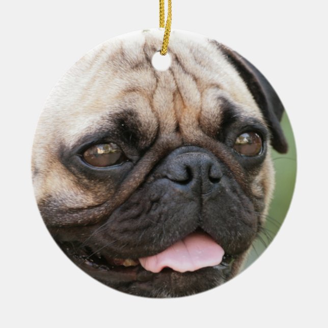 De Cerâmica Ornamento do cão do Pug (Frente)