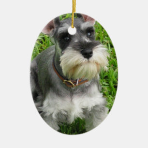 De Cerâmica Ornamento do cão do Schnauzer