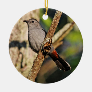 De Cerâmica Ornamento do Catbird cinzento