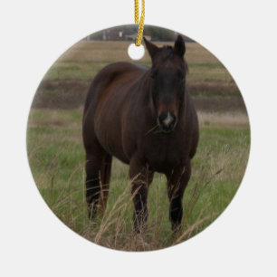 De Cerâmica Ornamento do cavalo do Feliz Natal