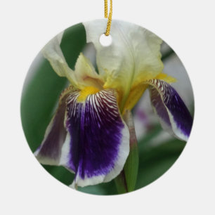 De Cerâmica Ornamento do Círculo Fotográfico da Flor Iris
