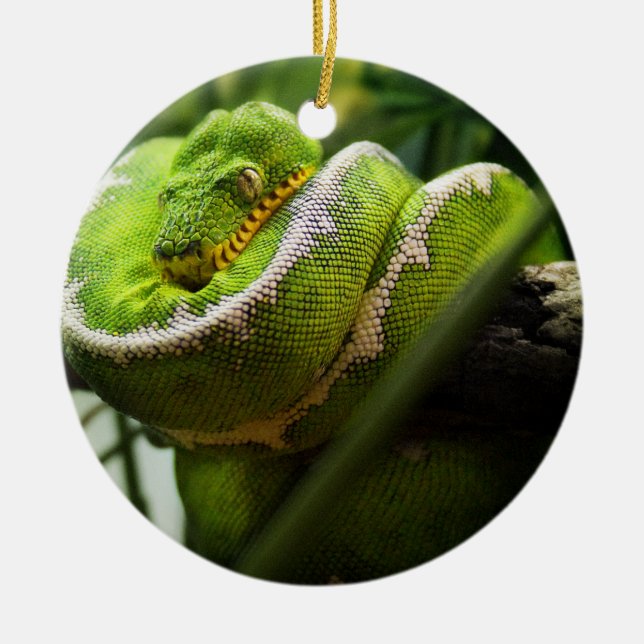 De Cerâmica Ornamento do cobra da árvore (Frente)