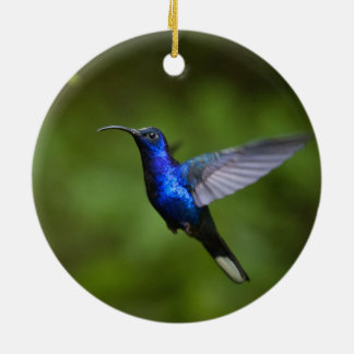 DE CERÂMICA ORNAMENTO DO COLIBRI