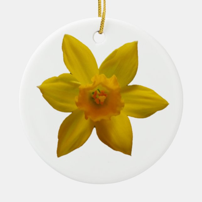 De Cerâmica Ornamento do Daffodil (Frente)