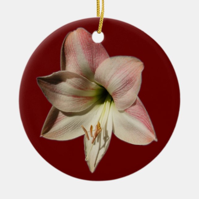 De Cerâmica Ornamento do ~ do Amaryllis (Frente)