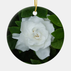 De Cerâmica Ornamento do Gardenia