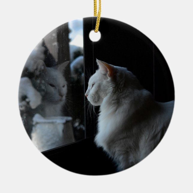 De Cerâmica Ornamento do Gatinho Branco Snowy (Frente)