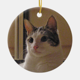 De Cerâmica Ornamento do gato