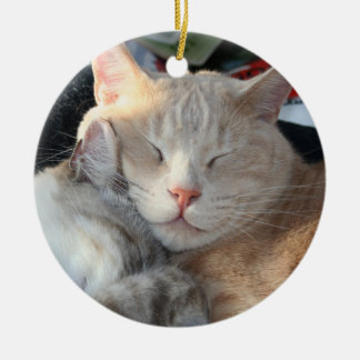 De Cerâmica Ornamento do gato