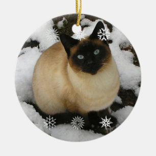 De Cerâmica Ornamento do gato da neve