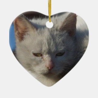De Cerâmica Ornamento do gato do amor