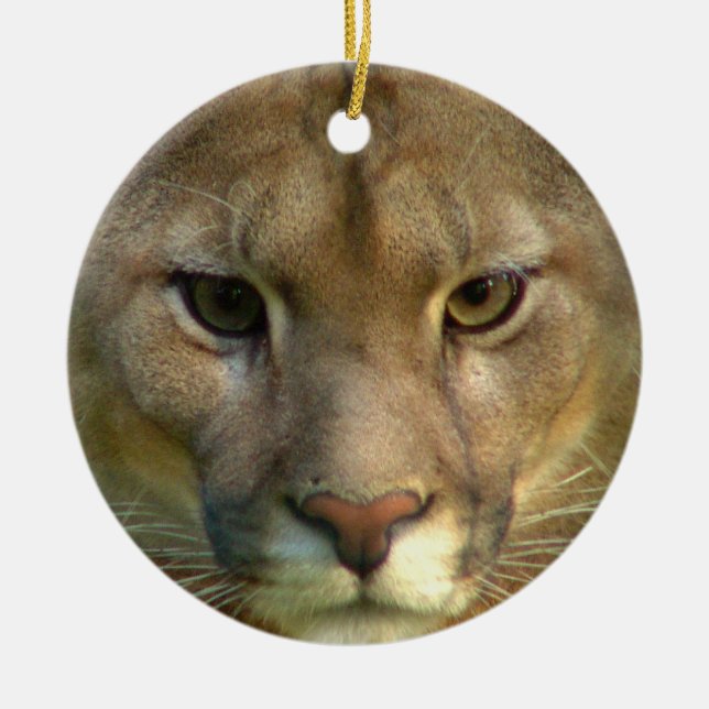 De Cerâmica Ornamento do gato do puma (Frente)