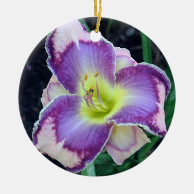 De Cerâmica Ornamento do hemerocallis (Frente)