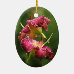 De Cerâmica Ornamento do hemerocallis