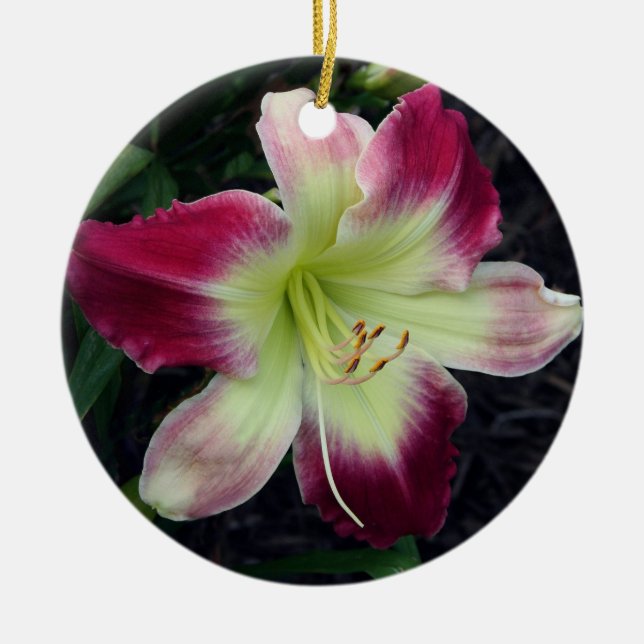 De Cerâmica Ornamento do hemerocallis (Frente)