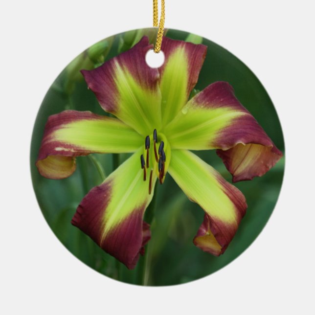 De Cerâmica Ornamento do hemerocallis (Frente)