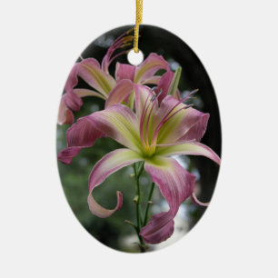 De Cerâmica Ornamento do hemerocallis