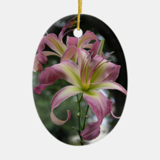 De Cerâmica Ornamento do hemerocallis