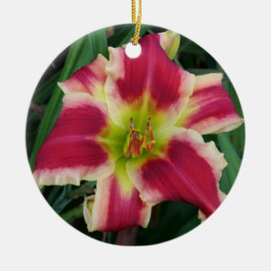 De Cerâmica Ornamento do hemerocallis