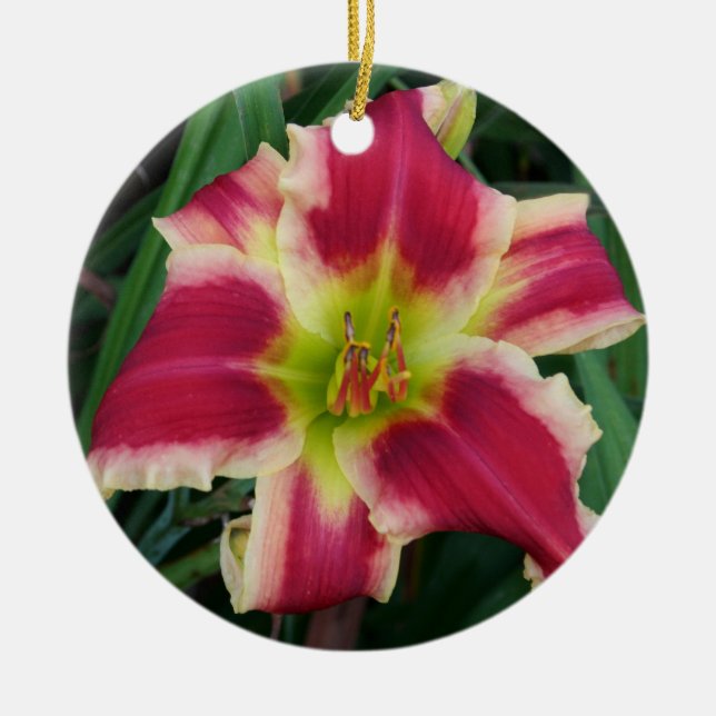 De Cerâmica Ornamento do hemerocallis (Frente)