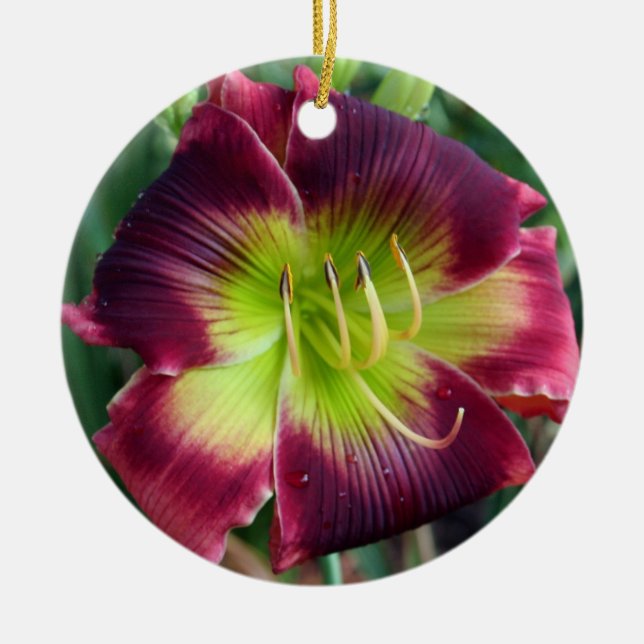 De Cerâmica Ornamento do hemerocallis (Frente)