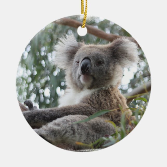 De Cerâmica Ornamento do Koala (Frente)