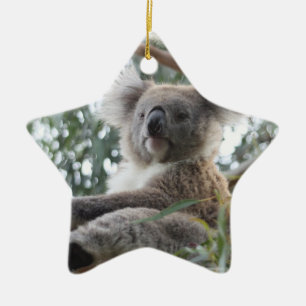De Cerâmica Ornamento do Koala