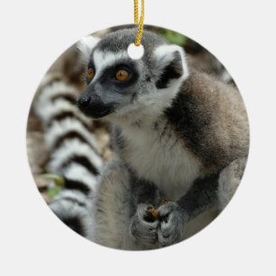 De Cerâmica Ornamento do Lemur