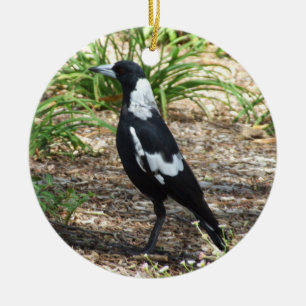 De Cerâmica Ornamento do Magpie australiano