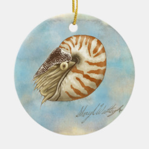 De Cerâmica Ornamento do nautilus da história natural