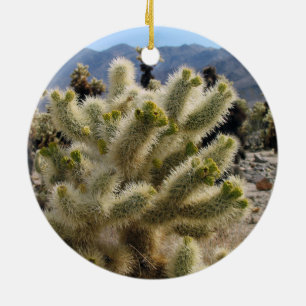 De Cerâmica Ornamento do Parque Nacional Joshua Tree